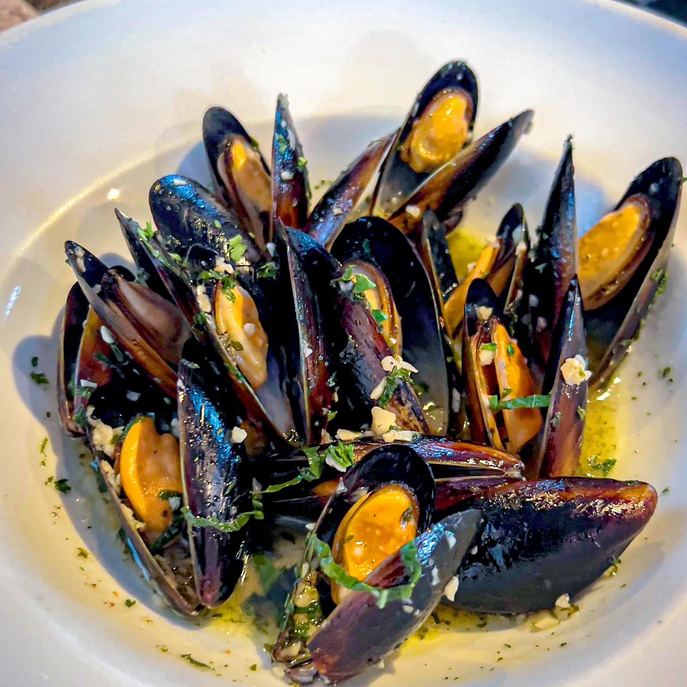 A bowl of mussels in white wine and herbs